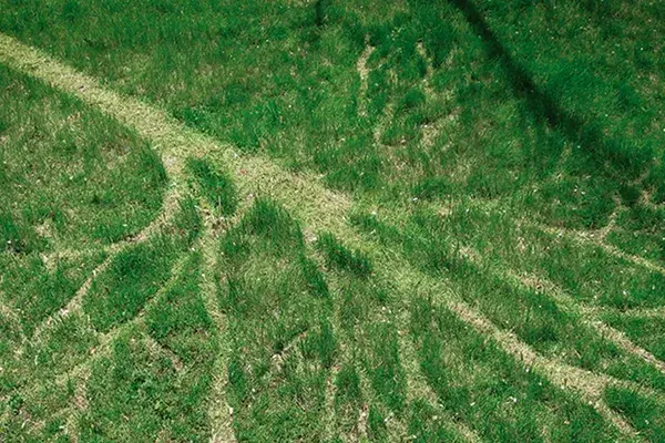 Imprint