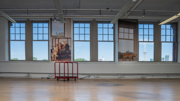 WONDER: Sage Szkabarnicki-Stuart exhibition at Koffler Arts