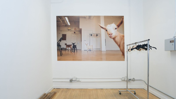 WONDER: Sage Szkabarnicki-Stuart exhibition at Koffler Arts