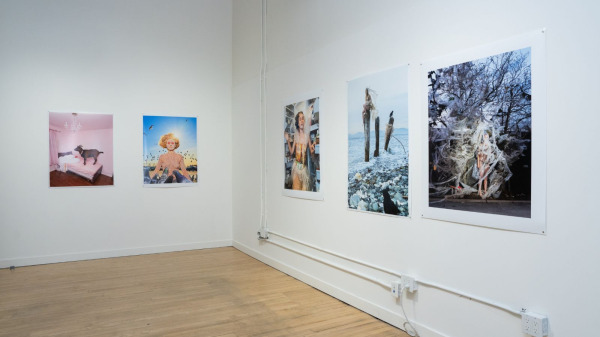 WONDER: Sage Szkabarnicki-Stuart exhibition at Koffler Arts