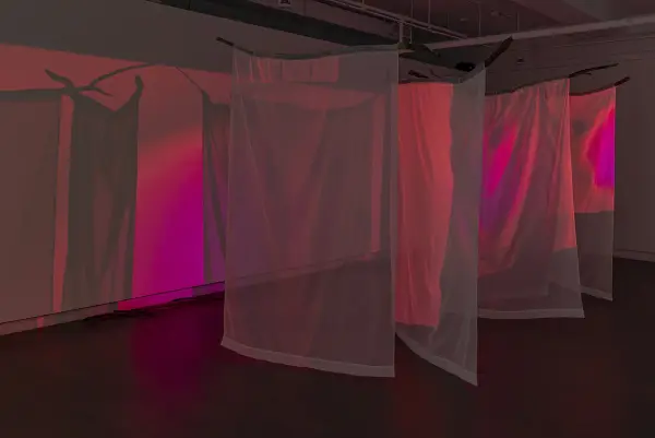 exhibition details 3
