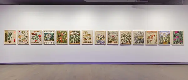 Botannica Tirannica exhibition details 5