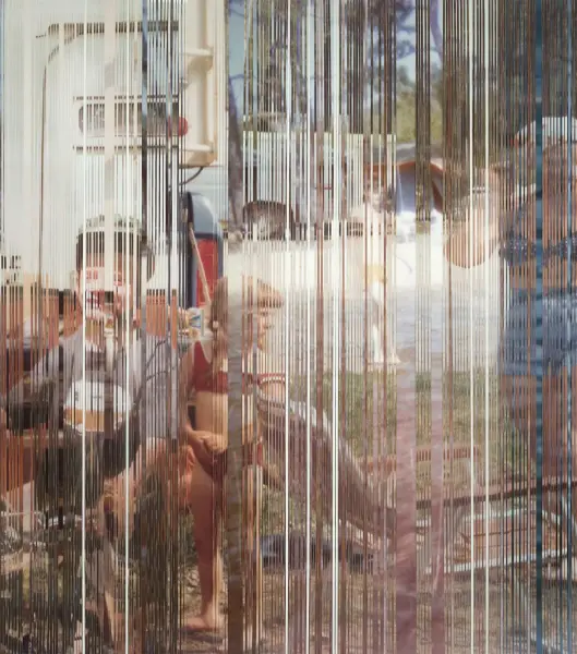 Lise Beaudry, Maurice (detail), inkjet prints and strips, 2018.