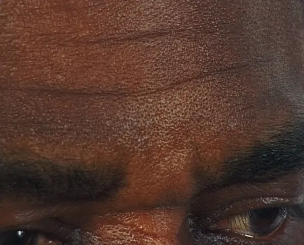 Esther Shalev-Gerz, First Generation (detail), 2004.