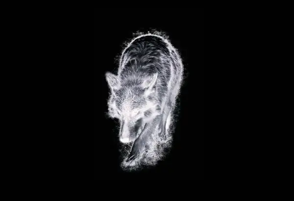 Mary Anne Barkhouse, Alpha, 2011. Photo on Somerset paper, 91.4 x 121.9 cm.