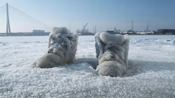 Sigalit Landau, Salted Lake, 2011