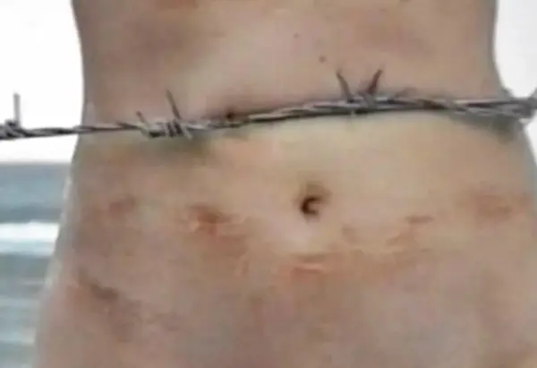 Sigalit Landau, Barbed Hula, 2000