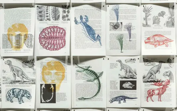 Barbara Astman, The Fossil Book (detail), 2013. Photo: Toni Hafkenscheid.