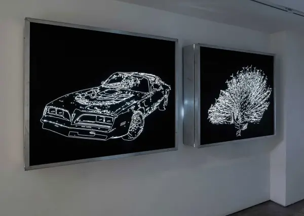 Clint Neufeld, Alexia’s Trans-Am, 2011 (left), Just Dandy, 2012 (right), vinyl, each light box, 46” x 35” x 6”. Photo: Toni Hafkenscheid.