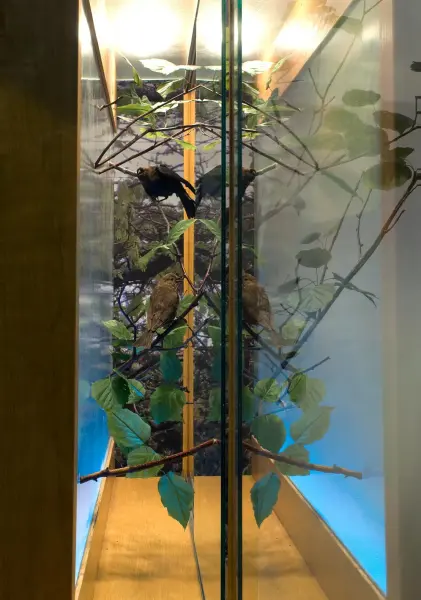 Panya Clark Espinal, Vagabond Vitrine (installation detail 1), 2010. Photo: Isaac Applebaum.