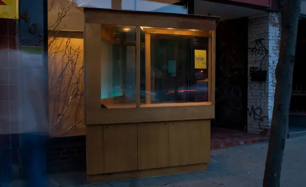 Panya Clark Espinal, Vagabond Vitrine (installation detail 2), 2010. Photo: Isaac Applebaum.