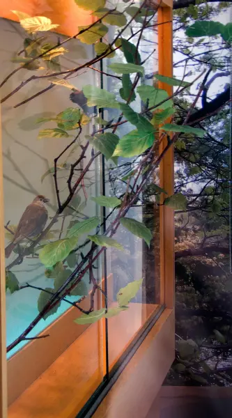 Panya Clark Espinal, Vagabond Vitrine (installation detail 3), 2010. Photo: Isaac Applebaum.