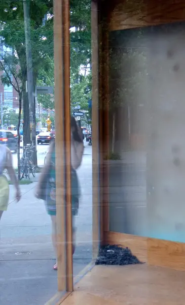 Panya Clark Espinal, Vagabond Vitrine (installation detail 4), 2010. Photo: Isaac Applebaum.