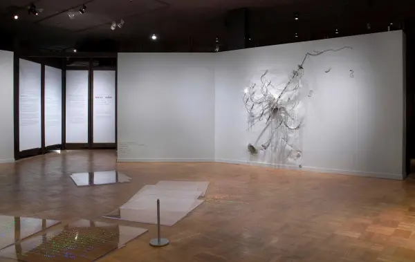 Joshua Neustein, Margins (installation detail 4), 2009. Mixed media, variable dimensions. Photo: Isaac Applebaum.