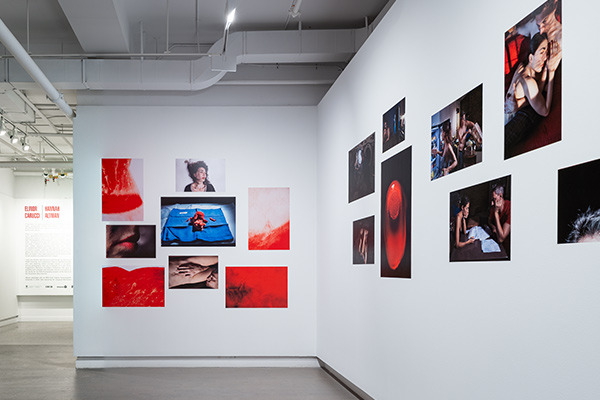 Installation view of Elinor Carucci's photographs